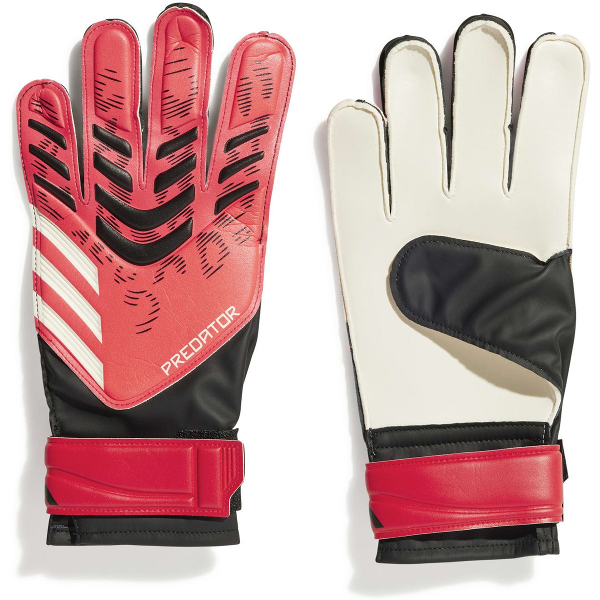Adidas Handschuhe Predator Training – BLACK/LUCRED/BLACK