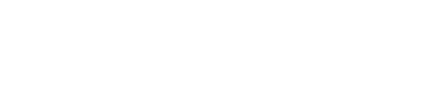 Lowa Logo