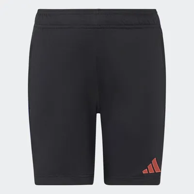 Adidas TIRO26L  TRSHOY – BLACK/PURPUR