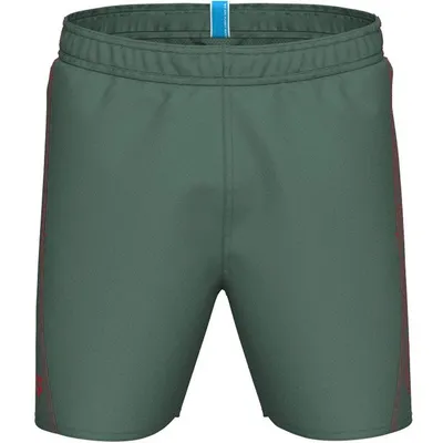 Arena FUNDAMENTALS ARENA LOGO BOXER – Salbeigrün / Rot