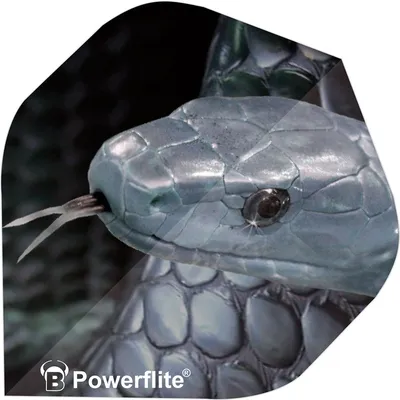BULL'S Powerflite Standard A-Shape – Schwarz