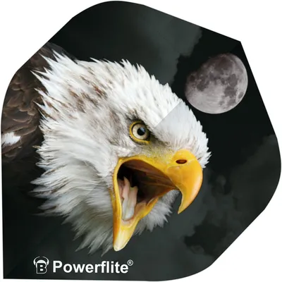 BULL'S Powerflite – Multicolor