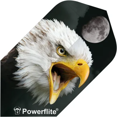 BULL'S Powerflite – Multicolor