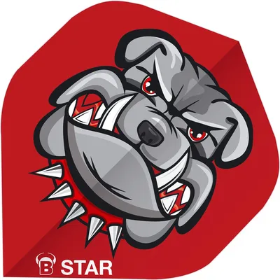 BULL'S B-Star Flights – MEHRFARBIGES MOTIV