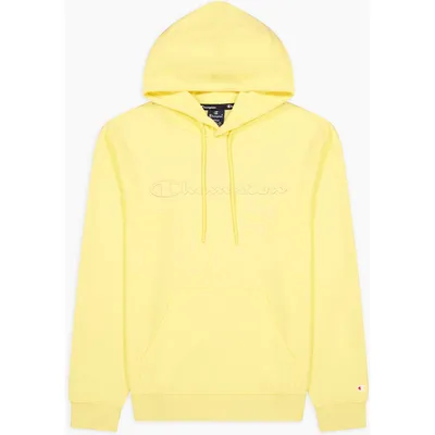 Champion Hooded Sweatshirt – BAN