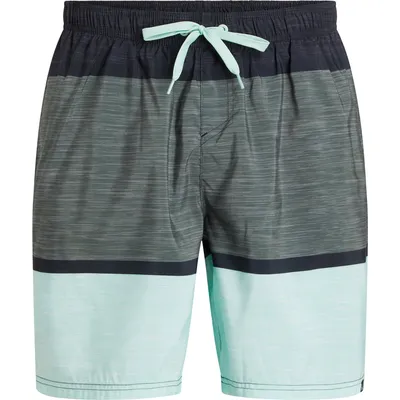Firefly He.-Badeshorts Lario M Melange Stripe – GREEN DARK
