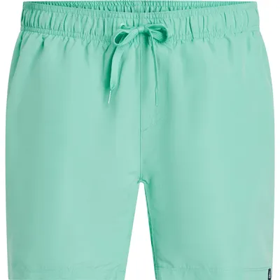 Firefly He.-Badeshorts Ken IV M – Dunkelmint