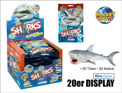 Panini Sharks – *