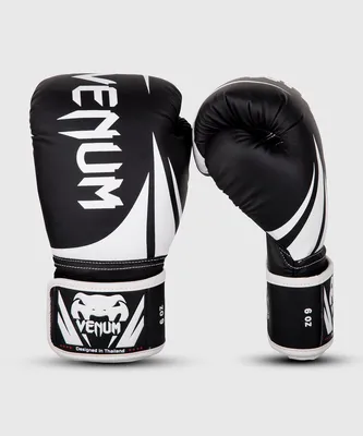 Venum Challenger 2.0 Kids Boxing Gloves – BLACK/WHITE