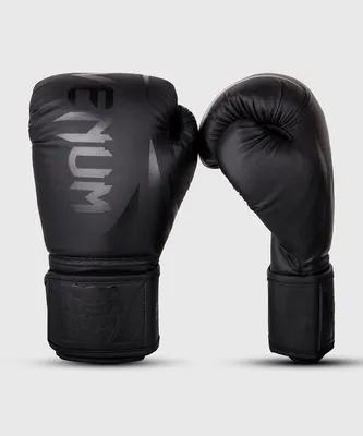 Venum Challenger 2.0 Kids Boxing Gloves – BLACKL/BLACK